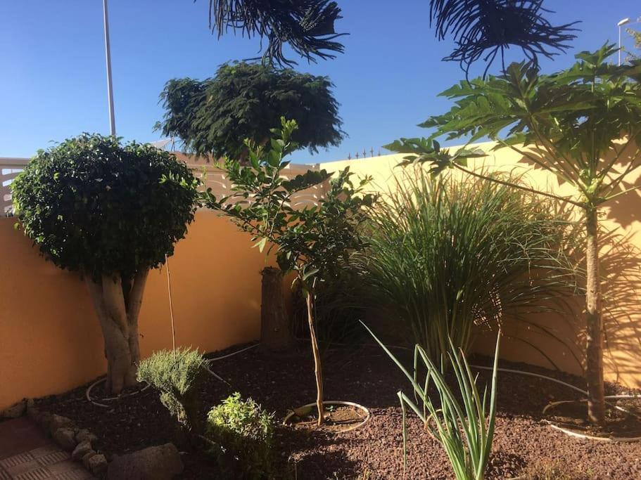 Independiente Estudio En Acogedora Casita De Mai Costa Adeje  Luaran gambar
